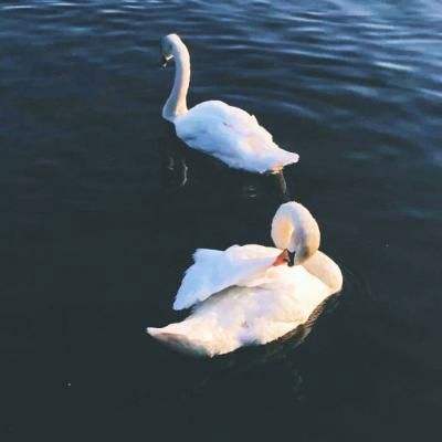 关于“开云电竞APP”