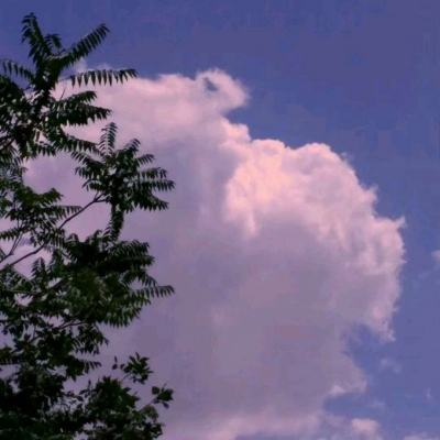 半岛·综合app下载