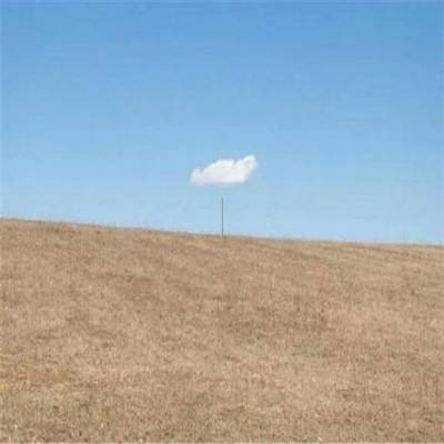 开元棋脾手机app下载