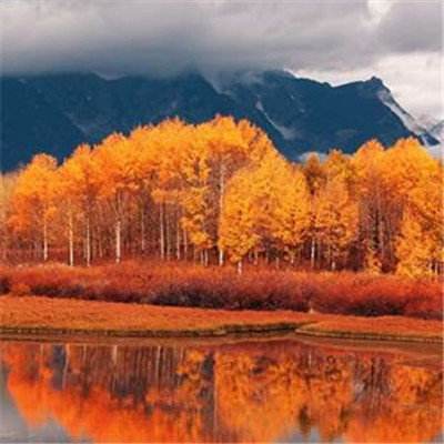 乐鱼官方-登录入口