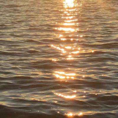 乐鱼体育app下载