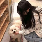 云开平台app最新版本入口